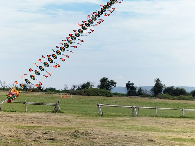 15420